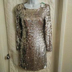Silver Sequin Art Deco Gatsby Dress